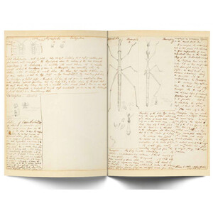 A NATURALIST IN THE AMAZON: THE JOURNALS & WRITINGS OF HENRY WALTER BATES 3