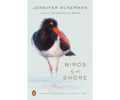 BIRDS BY THE SHORE: OBSERVING THE NATURAL LIFE OF THE ATLANTIC COAST