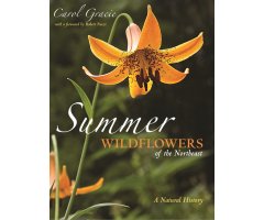 SUMMER WILDFLOWERS OF THE NORTHEAST. A NATURAL HISTORY