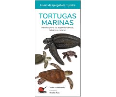 TORTUGAS MARINAS. INTRODUCCIÓN A LAS ESPECIES IBÉRICAS Y CANARIAS. GUÍAS DESPLEGABLES TUNDRA