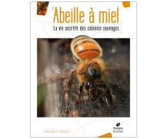 L'ABEILLE À MIEL - LA VIE SECRÈTE DES COLONIES SAUVAGES