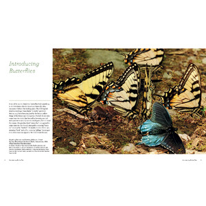 BUTTERFLIES. THEIR NATURAL HISTORY AND DIVERSITY_1