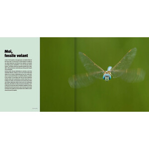 MA VIE DE LIBELLULE. COLLECTION HISTOIRES D'IMAGES_1