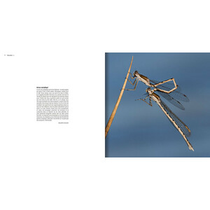 MA VIE DE LIBELLULE. COLLECTION HISTOIRES D'IMAGES 3