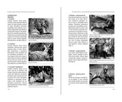 EL AGUARÁ GUAZÚ CHRYSOCYON BRACHYURUS EN LA ARGENTINA. LECCIONES APRENDIDAS Y RECOMENDACIONES PARA SU CONSERVACIÓN 2