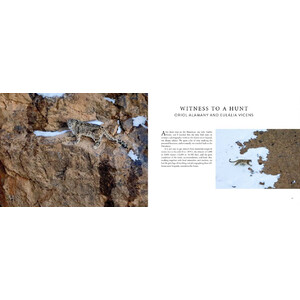 SEARCHING FOR THE SNOW LEOPARD. GUARDIAN OF THE HIGH MOUNTAINS 3