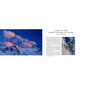 SEARCHING FOR THE SNOW LEOPARD. GUARDIAN OF THE HIGH MOUNTAINS 4