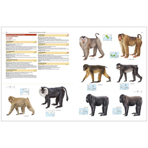 ILLUSTRATED CHECKLIST OF THE MAMMALS OF THE WORLD 5