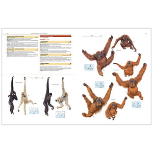 ILLUSTRATED CHECKLIST OF THE MAMMALS OF THE WORLD 6