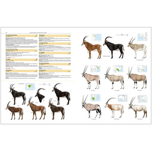 ILLUSTRATED CHECKLIST OF THE MAMMALS OF THE WORLD 8