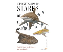 A POCKET GUIDE TO SHARKS OF THE WORLD