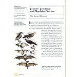 HOW ZOOLOGISTS ORGANIZE THINGS: THE ART OF CLASSIFICATION_1