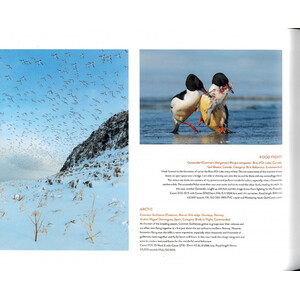 BIRD PHOTOGRAPHER OF THE YEAR: COLLECTION 5 3