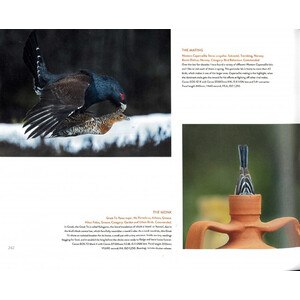 BIRD PHOTOGRAPHER OF THE YEAR: COLLECTION 5 4