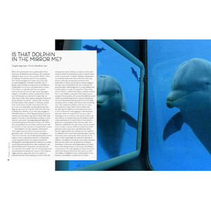 DEEP THINKERS: AN EXPLORATION OF INTELLIGENCE IN WHALES, DOLPHINS AND PORPOISES 3