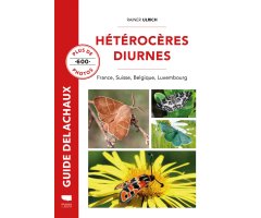 HÉTÉROCÈRES DIURNES. FRANCE, SUISSE, BELGIQUE, LUXEMBOURG             