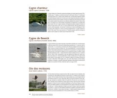 ATLAS DES OISEAUX MIGRATEURS ET HIVERNANTS D'AQUITAINE 2