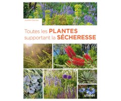 TOUTES LES PLANTES SUPPORTANT LA SÉCHERESSE