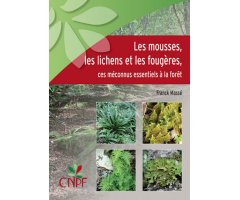 LES MOUSSES, LES LICHENS ET LES FOUGÈRES - CES MÉCONNUS ESSENTIELS À LA FORÊT