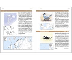 EUROPEAN BREEDING BIRD ATLAS 2. DISTRIBUTION, ABUNDANCE AND CHANGE (EBBA2) 2