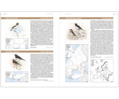 EUROPEAN BREEDING BIRD ATLAS 2. DISTRIBUTION, ABUNDANCE AND CHANGE (EBBA2) 5