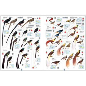 ALL THE BIRDS OF THE WORLD 3