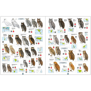 ALL THE BIRDS OF THE WORLD 5