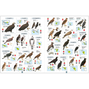 ALL THE BIRDS OF THE WORLD 6