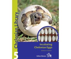 INCUBATING CHELONIAN EGGS                                                                                                                             