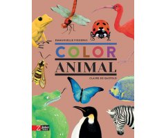 COLOR ANIMAL                                                                                                                                          