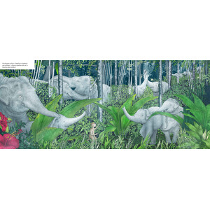 QUAN LA SELVA DESAPAREIX_1