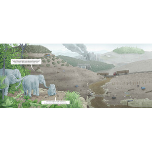 QUAN LA SELVA DESAPAREIX 3