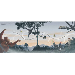 QUAN LA SELVA DESAPAREIX 4