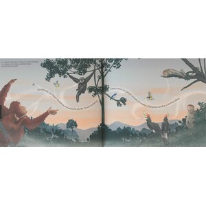 CUANDO LA SELVA DESAPARECE_1