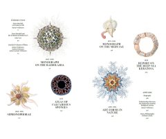 THE ART AND SCIENCE OF ERNST HAECKEL. 40TH ANNIVERSARY EDITION 4