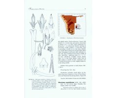 THE APOCYNACEAE OF NAMIBIA