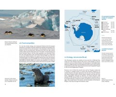 AROUND THE WORLD FOR PENGUINS. WHERE TO SEE ALL THE 18 PENGUIN SPECIES 2