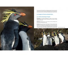 AROUND THE WORLD FOR PENGUINS. WHERE TO SEE ALL THE 18 PENGUIN SPECIES 4