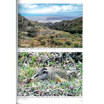 THE BIRDS OF PAMIRS, HISSAR, ALAI AND TIEN SHAN. VOLUME 1: NON-PASSERINES PART 2 2