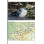 THE BIRDS OF PAMIRS, HISSAR, ALAI AND TIEN SHAN. VOLUME 1: NON-PASSERINES PART 2 3