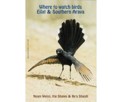 WHERE TO WATH BIRDS EILAT & SOUTHERN ARAVA