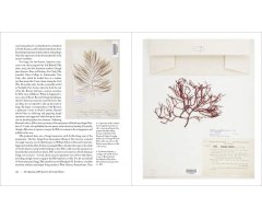 HERBARIUM. THE QUEST TO PRESERVE AND CLASSIFY THE WORLD'S PLANTS 3
