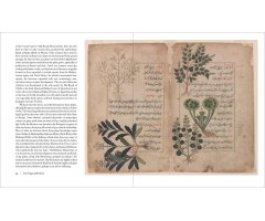 HERBARIUM. THE QUEST TO PRESERVE AND CLASSIFY THE WORLD'S PLANTS 4