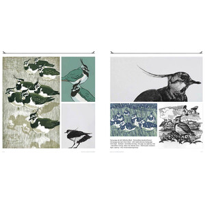 WINGS OVER WATER. WADERS, WILDFOWL, SEABIRDS & MORE_1