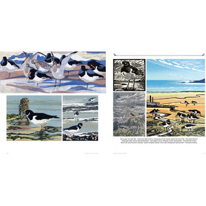 WINGS OVER WATER. WADERS, WILDFOWL, SEABIRDS & MORE 3