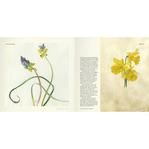 THE MEASURE OF THE YEAR_1