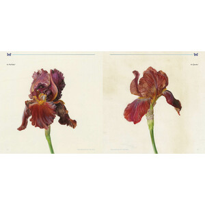 THE MEASURE OF THE YEAR 3