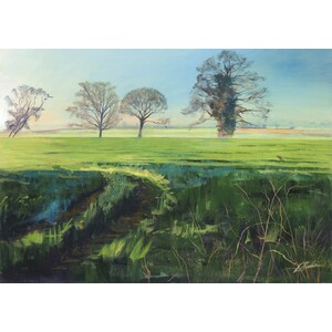 INTO THE WOODS. A CELEBRATION OF TREES_1