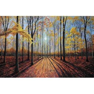 INTO THE WOODS. A CELEBRATION OF TREES 3