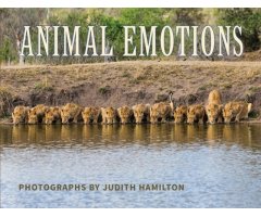 ANIMAL EMOTIONS